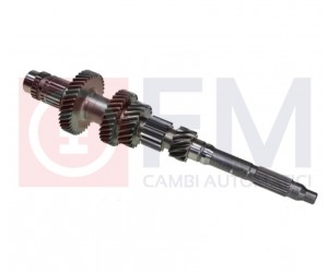 INPUT SHAFT SUITABLE TO 9820458380 - 2311.V6