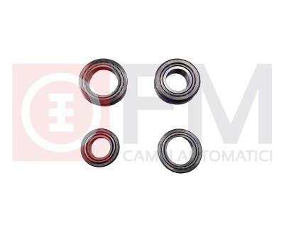 BEARING KIT FOR REAR DIFFERENTIAL SUITABLE FOR 0AY525010L - 0AY525010N