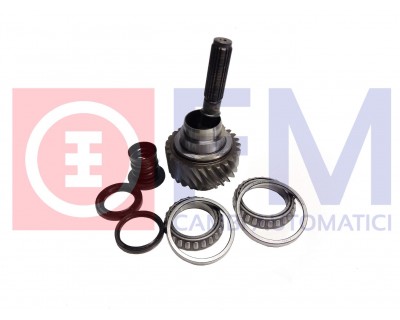 KIT FOR INTEGRATED TRANSFER CASE REBUILDING WITH NEW SHAFT