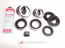 KIT REVISIONE DIFFERENZIALE ANTERIORE ADATTABIALE A BMW X1 / X6 1