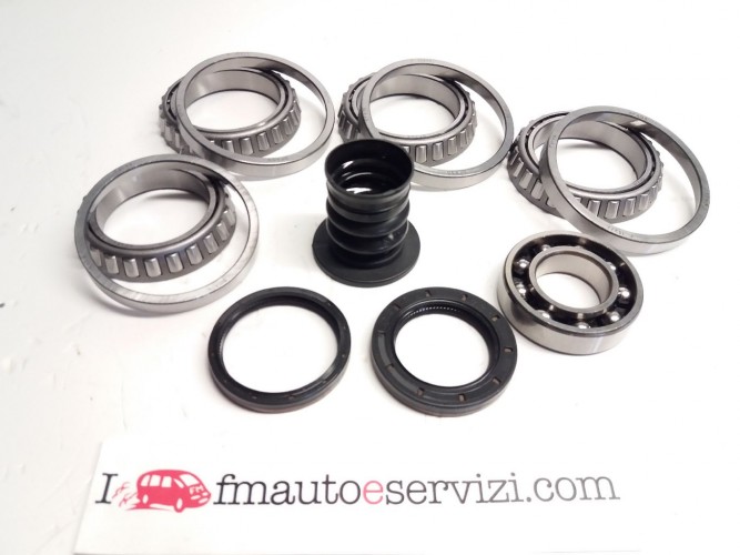 KIT CUSCINETTI CON PARAOLI PER RIPARTITORE INTEGRATO MERCEDES 722962 - 722965