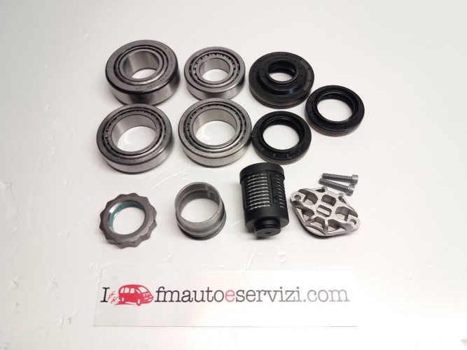 REBUILT KIT FOR REAR DIFFERENTIAL SUITABLE FOR 1590823