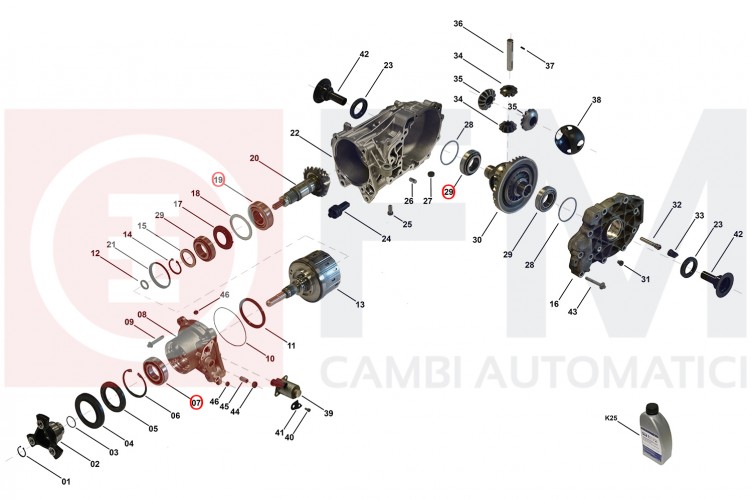 KIT CUSCINETTI PER DIFFERENZIALE POSTERIORE INFINITY COMPATIBILE PER 383005DA0B 38300HG00C