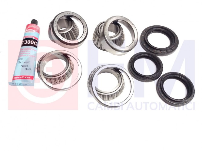 KIT REVISIONE PER DIFFERENZIALE ANTERIORE VW 0AA409508A