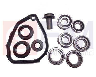 KIT REVISIONE CAMBIO MANUALE GS565BH