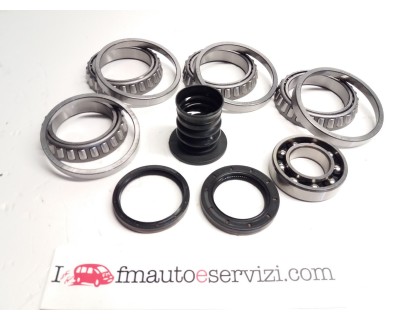 KIT CUSCINETTI CON PARAOLI PER RIPARTITORE INTEGRATO MERCEDES 722962 - 722965