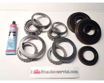 KIT REVISIONE DIFFERENZIALE POSTERIORE A6393501214 - A6393501314