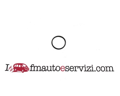 O-RING ALBERO D\'ENTRATA COMPATIBILE CON 0734.313.920